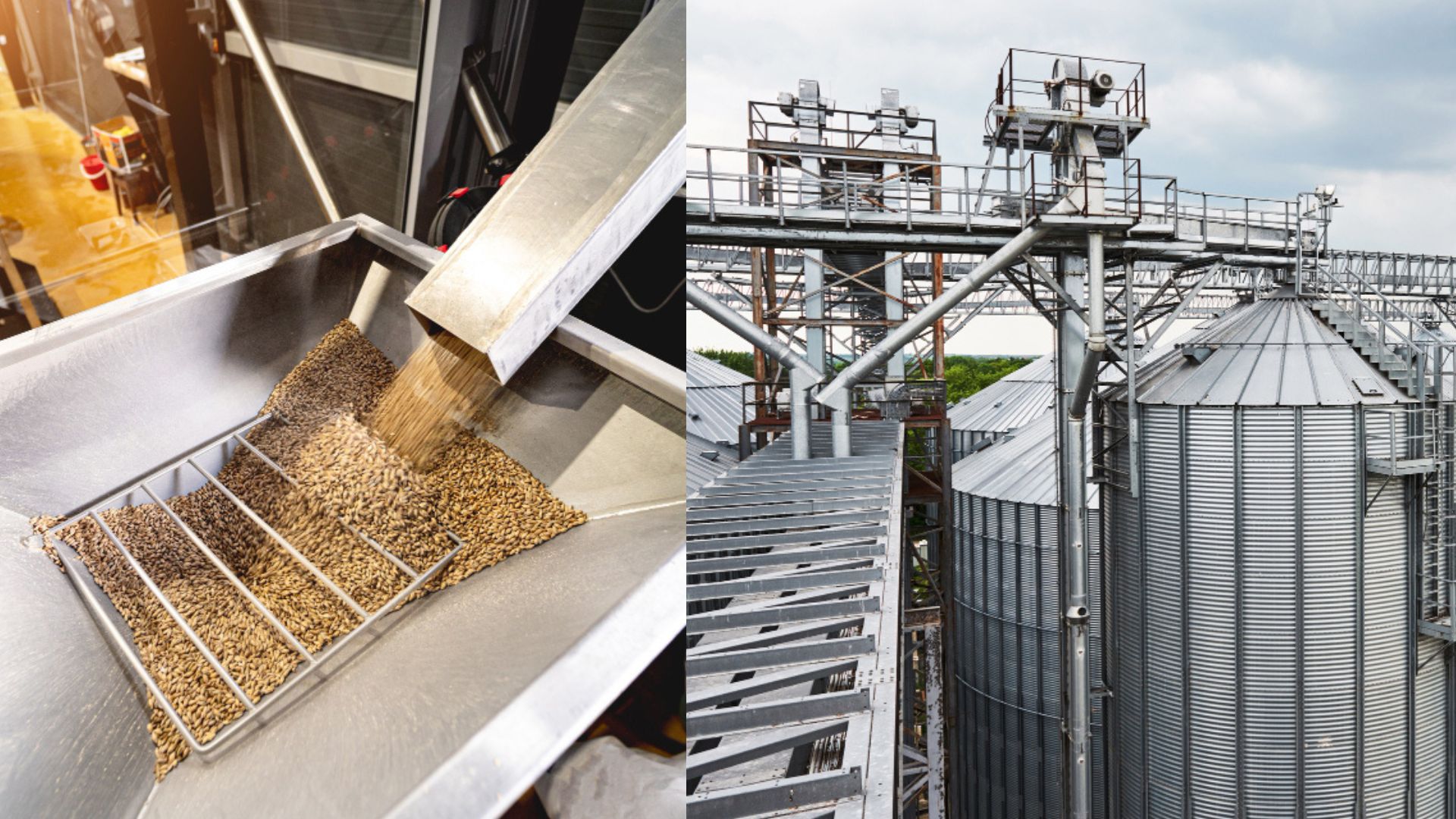 Transporte e Beneficiamento de Grãos