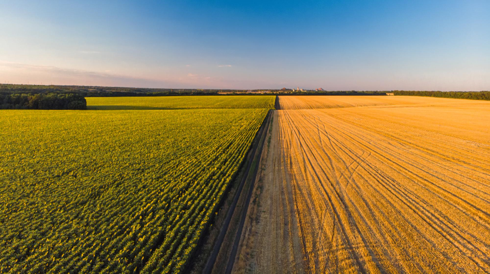 Imagem da área Agricultura